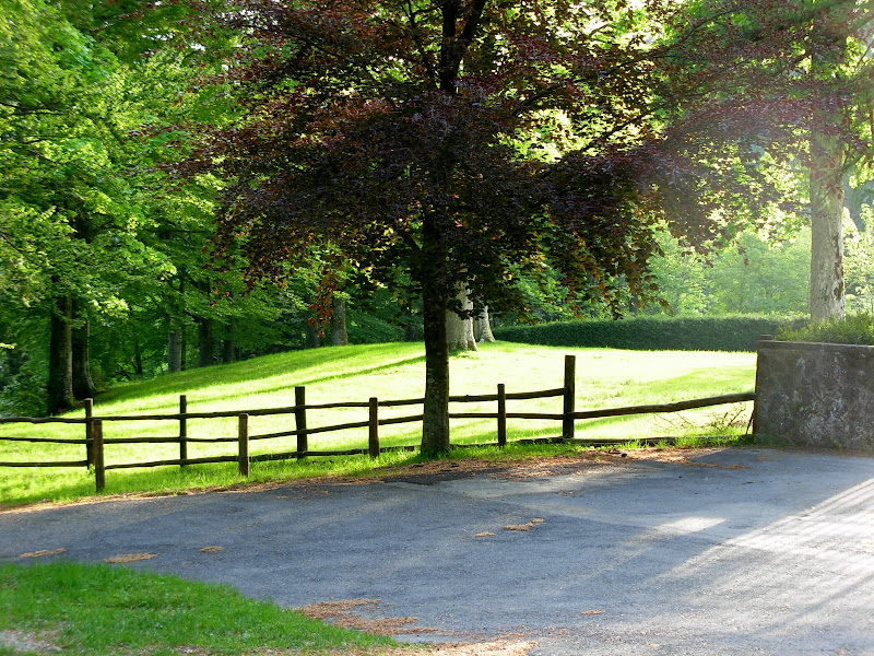 DSCN1057.JPG