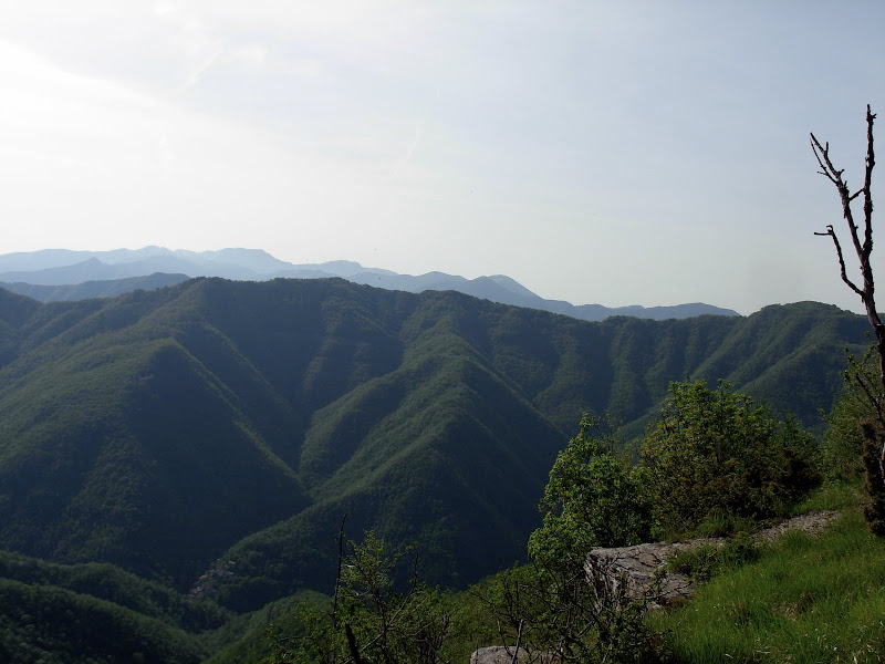 DSCN1044.JPG
