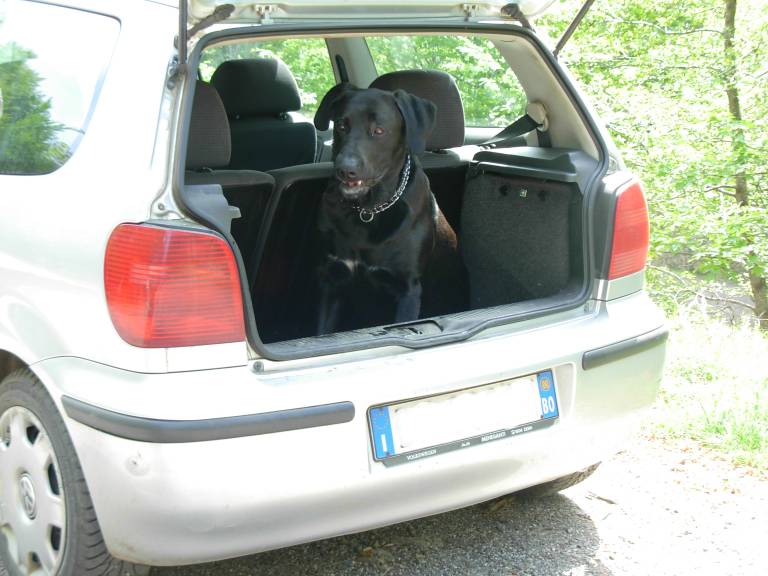 cane.jpg