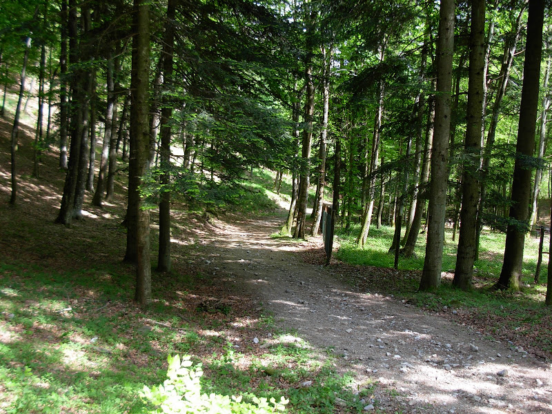 DSCN1028.JPG