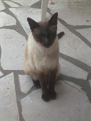 http://lh4.ggpht.com/_Af2NJS5Y8NA/S1I4oTegsmI/AAAAAAAABhM/oJc12vLJj7o/44ba62f5e8ced.jpg