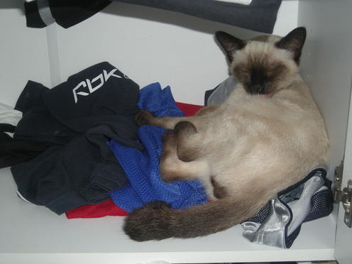 http://lh4.ggpht.com/_Af2NJS5Y8NA/S1I68X-s1pI/AAAAAAAABuQ/lw5VEh9utrs/DSCN1827.jpg