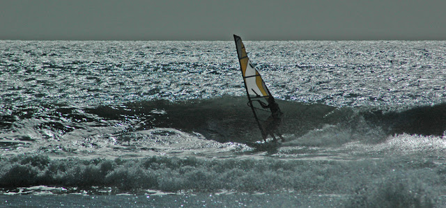 DSC_6918.jpg