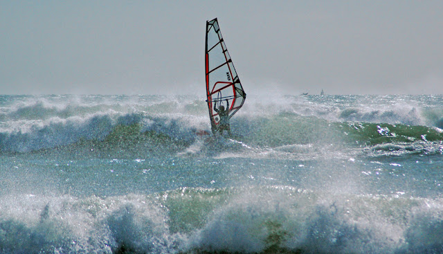 DSC_6875.jpg