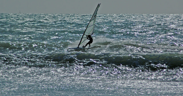 DSC_6886.jpg