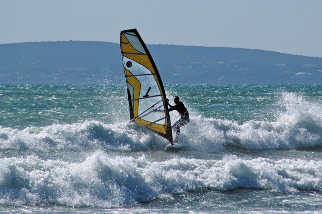 DSC_6882.jpg