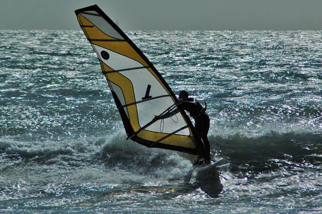 DSC_6905.jpg