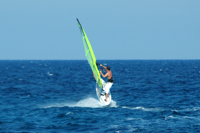 DSC_8178.JPG