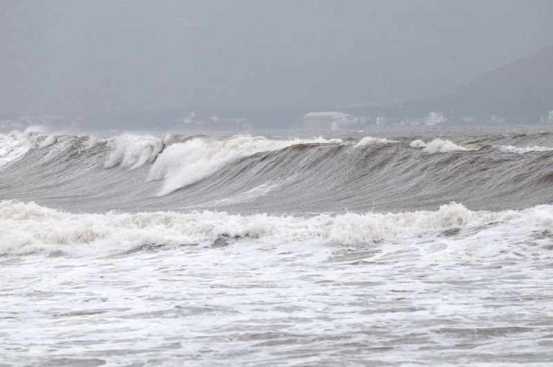 200912_palmapix%20091.jpg