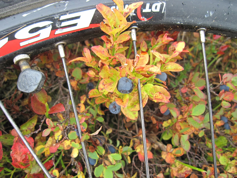 IMG_7762.JPG