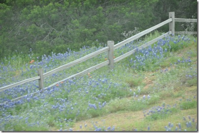 Hill Country 2010 013