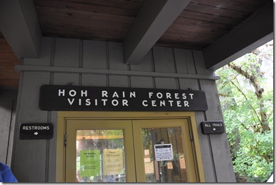 Hoh Rain Forest 028