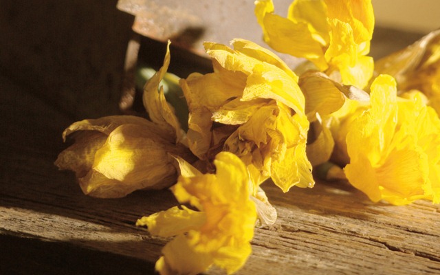 [1920xhtx_009006[3].jpg]