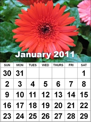[Calendar-2011-New-Year[5].jpg]