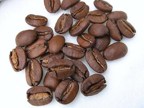 討論 – 失落的古坑咖啡?