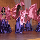 DPP_0073_800x533_800x533.JPG