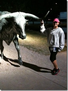sdt longhorn sdt longhorn