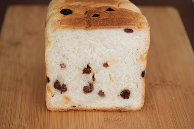 close-up photo of raisin bread