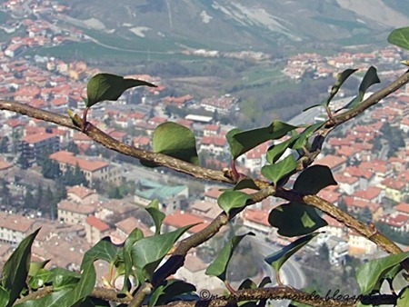 Aprile 2008. San MarinoS.Marino 2008 093