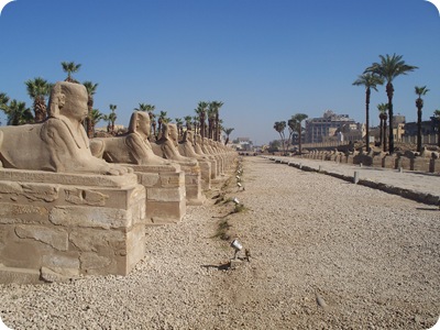 12-19-2009 009 Avenue of the sphinxes