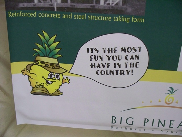 [12-04-2009 008 Bathurst - The Big Pineapple[3].jpg]