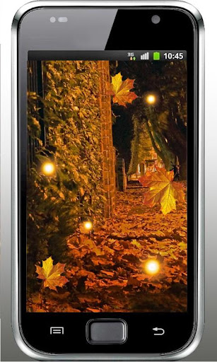 Autumn Night HD live wallpaper