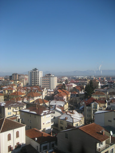 IMG_3221.jpg
