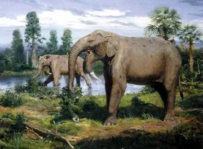deinotherium_small-tm