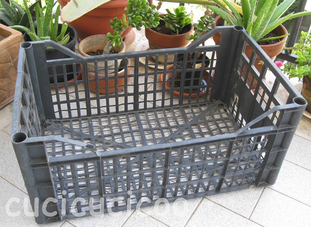[crate[5].jpg]
