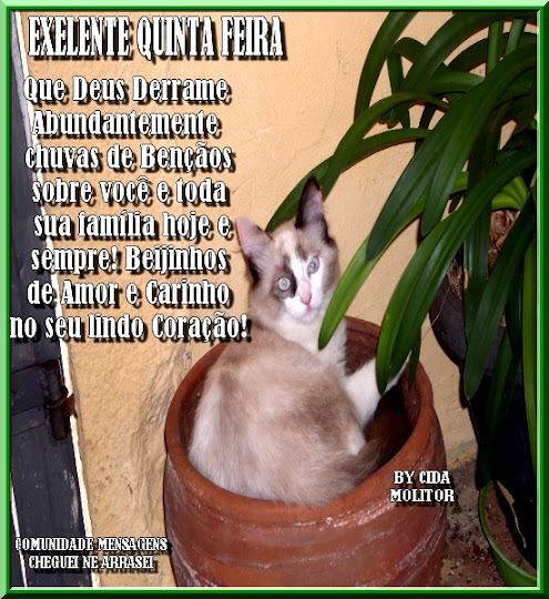 CHUVAS.jpg