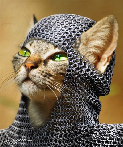 [medieval-kitty-photomanipulation[4].jpg]