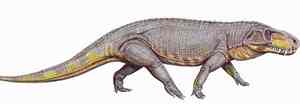 How the Prestosuchus chiniquensis may have looked. It was 22ft long and probably weighed around 900lbs