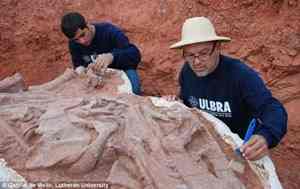 Two paleontologists evaluate the exposed part of the extraordinary fossil. They hope it will remain in Brazil where it was found