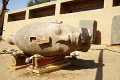A view of the massive head, after its excavation