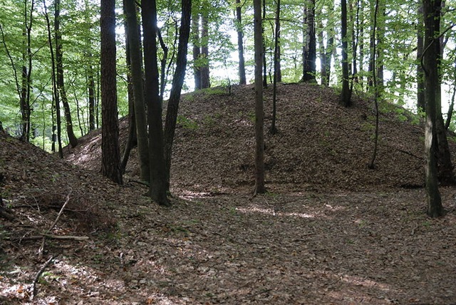 [800px-Sulm_valley_tumulus[5].jpg]