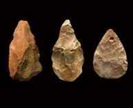 Multipurpose tools used to chop wood, butcher animals, and make other tools -- dominated early human technology for more than a million years. 