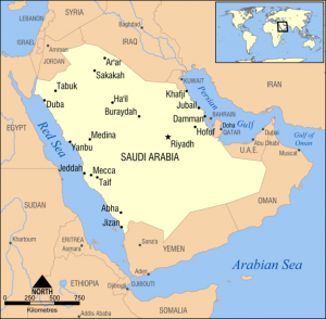 [saudi-arabia[5].png]