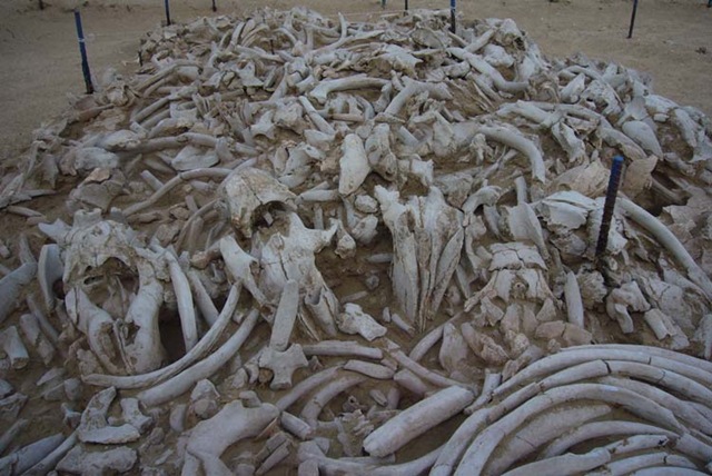 [52OCT2009_img_6[5].jpg]