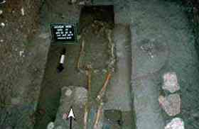 The torso and pelvis of this body, found in the floor of one of the homes Lucero excavated, had been removed. A matate and mano, used for grinding corn, were found near the right knee. A deer antler and pink quartzite stone were buried beneath the chest area