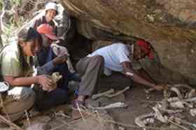 A Penn archaeological research team studies bone remains during a 2009 excavation in Kenya