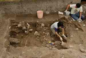 The group of skeletons was found placed parting from the center of the Prehispanic structure, from where 126 of 131 registered skeletons were recovered by archaeologists [Photo: DMC INAH/M. Tapia]