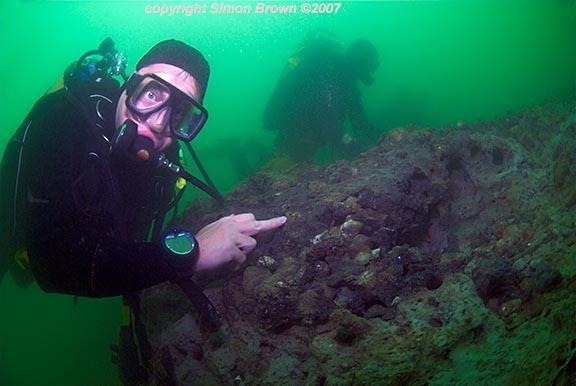 [070805133952-large[5].jpg]