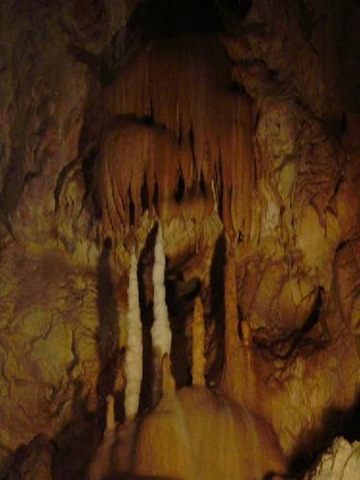 [1200240-Inside_the_bear_cave-Judetul_Bihor[5].jpg]