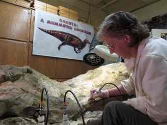Amy Sakariassen uses a miniature jackhammer to chip away at a 66-million-year-old dinosaur with fossilized skin on Friday, June 4, 2010 in Bismarck, N.D. Four workers have spent about 3,800 hours chipping away at Dakota, one of only a few mummified dinosaurs in existence.