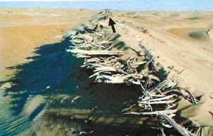 [P201006091459532443028217[5].jpg]