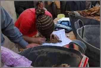 Photo courtesy Professor Kerry Muhlestein. A student analyzing mummy finds. 
