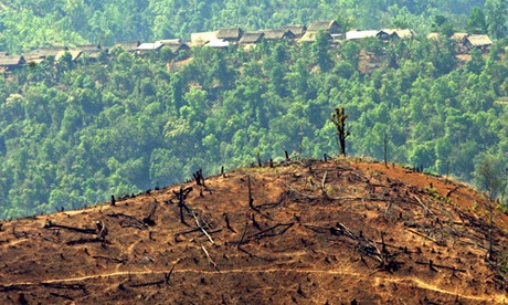 [Teakdeforestationburma5.jpg]