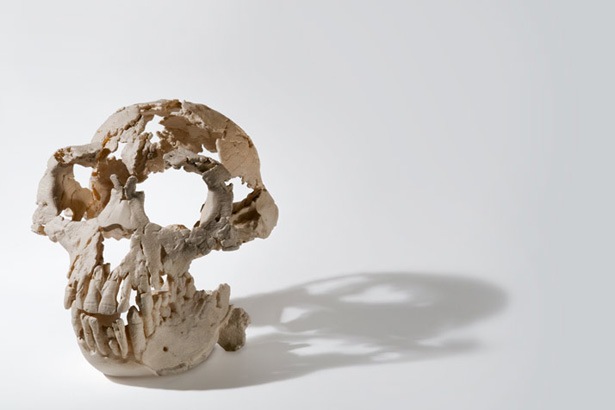 [middle-awash-615[5].jpg]