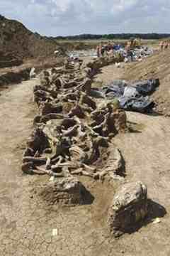 View of the enexcavated trench in which the 51 horses were buried