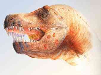 Restoration (Based on MOR 980) with Parasite Infections, Which Might be the Cause of Scars Seen in the Skulls of Several Specimens that were Previously Explained by Intraspecific Attacks.